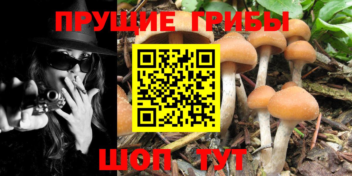 Псилоцибиновые грибы GOLDEN TEACHER  Вход с VPN  Псилоцибиновые грибы ЛСД  Магнитогорск 